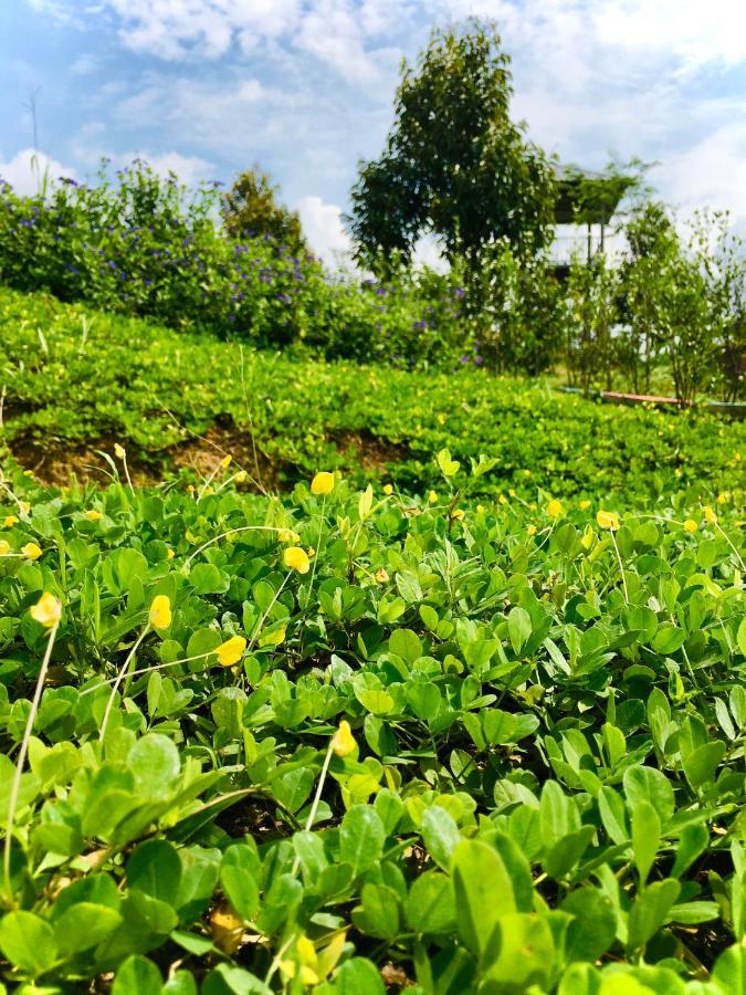 Durian Ecolodge Tampin Zewnętrze zdjęcie