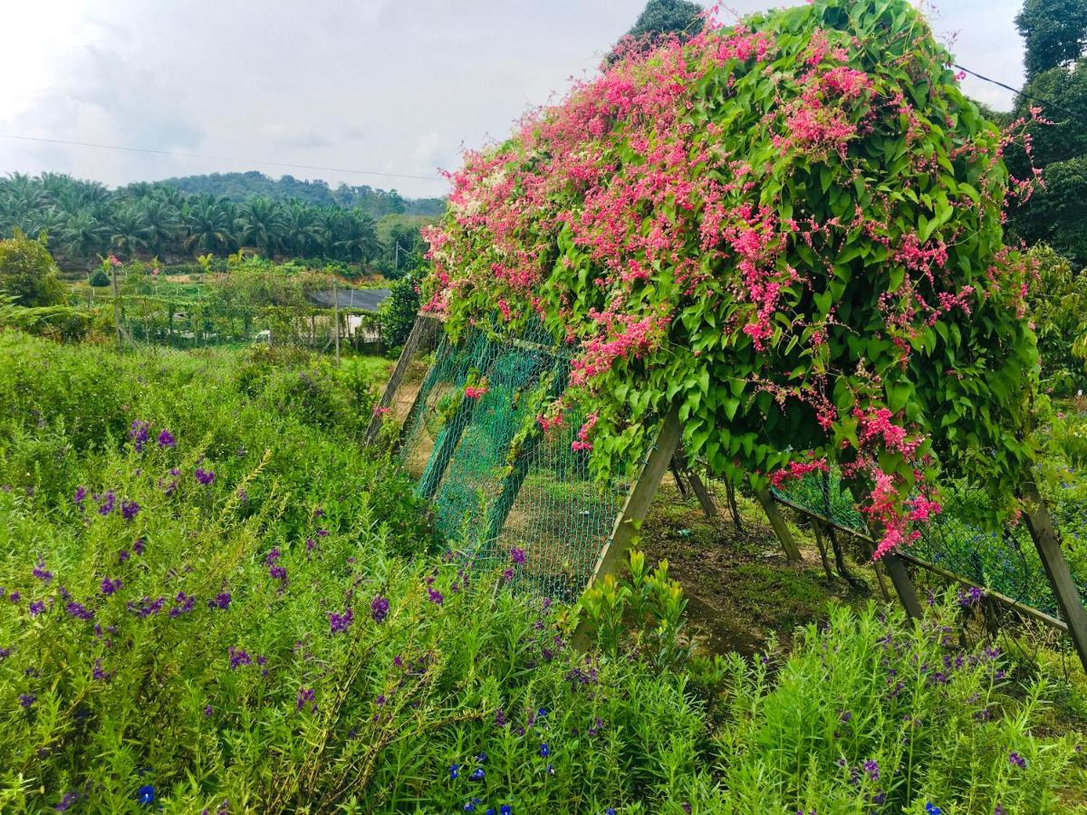 Durian Ecolodge Tampin Zewnętrze zdjęcie