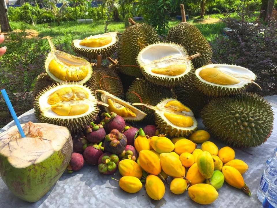 Durian Ecolodge Tampin Zewnętrze zdjęcie